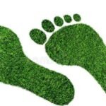 ecological-footprint-concept-barefoot-footprint-made-lush-green-grass-ecological-footprint-concept-barefoot-footprint-made-171434457-e1612612938592-736x450.jpg