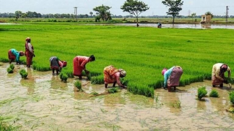 விவசாயிகளுக்கு ஆதார் மாதிரி அடையாள அட்டைகள்: மார்ச் மாதத்திற்குள் 5 கோடி இலக்கு  