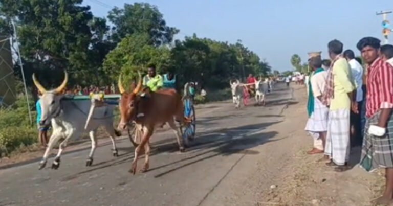 ராமநாதபுரம் அருகே நடைபெற்ற இரட்டை மாட்டுவண்டி பந்தயம்!