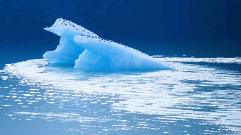 உலக நீர் தினம் 2025: பனிப்பாறை பாதுகாப்புக்கான அவசர அழைப்பு  