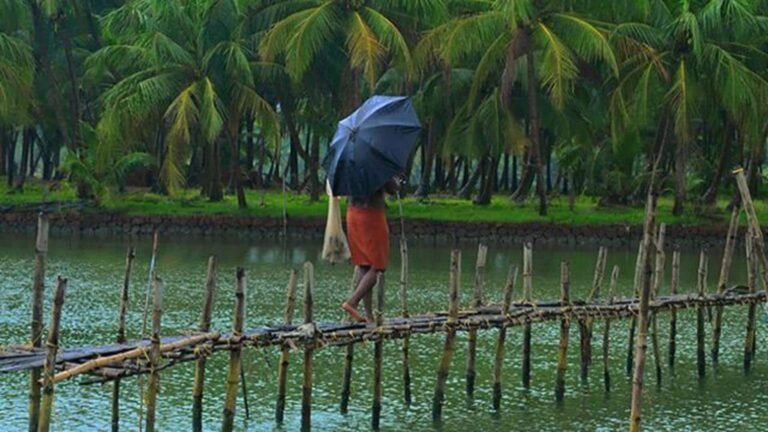 8 நாட்கள் முன்கூட்டியே கேரளாவில் தென்மேற்கு பருவமழை தொடங்கியது: IMD  