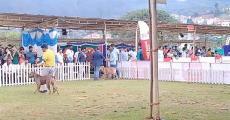 உதகையில் நடைபெற்ற நாய்கள் கண்காட்சி!