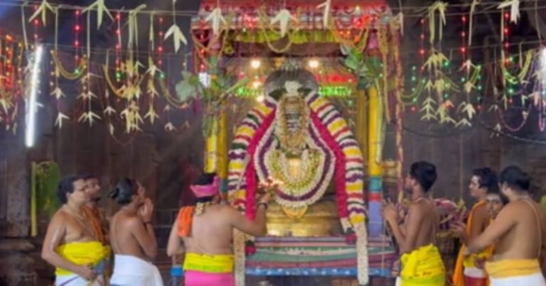 திருவண்ணாமலை அண்ணாமலையார் கோயில் அக்னி நட்சத்திர தோஷ நிவர்த்தி பூஜை!