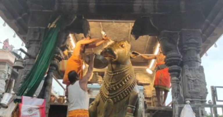 வைகாசி வளர்பிறை பிரதோஷம் – திருவண்ணாமலை அண்ணாமலையார் கோயில் நந்திக்கு சிறப்பு அபிஷேகம்!