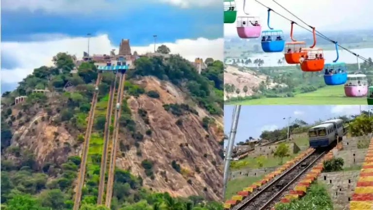 பழனி செல்லும் பக்தர்கள் கவனத்திற்கு!! 31 நாள்களுக்கு ரோப் கார் இயங்காது – நிர்வாகம் அறிவிப்பு.!