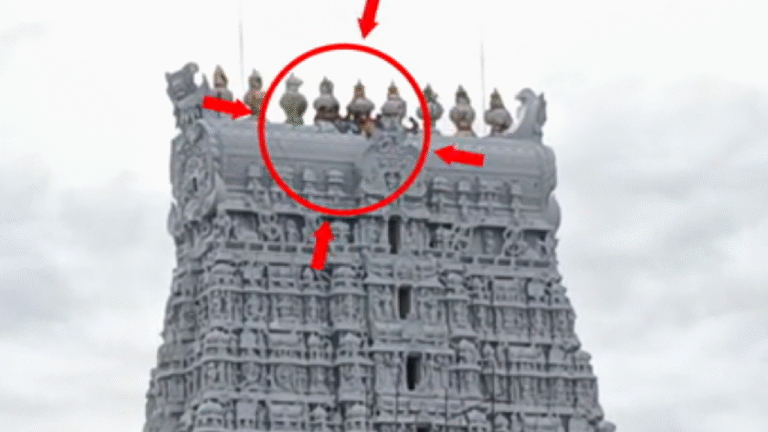 திருச்செந்தூர் சுப்பிரமணிய சுவாமி கோயிலின் ராஜகோபுரத்தில் குழந்தைகள்!