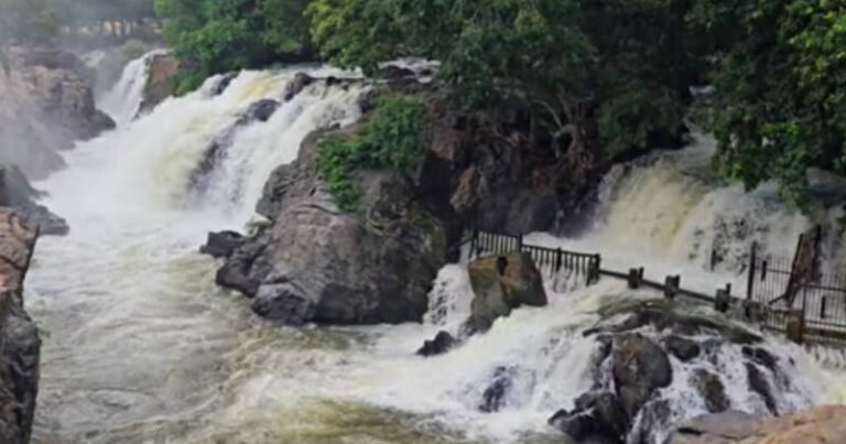 ஒகேனக்கல் காவிரி ஆற்றில்  நீர்வரத்து 32000 கன அடியாக அதிகரிப்பு!