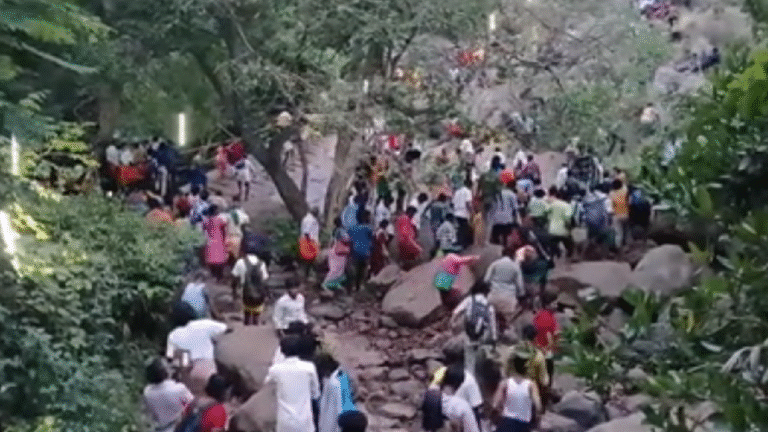 சதுரகிரியில் ஆடி அமாவாசை திருவிழா : ஏராளமான பக்தர்கள் சாமி தரிசனம்!