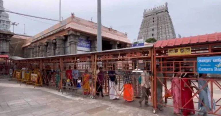 திருவண்ணாமலையில் அண்ணாமலையாரை கூட்டமின்றி தரிசனம் செய்த பக்தர்கள்!