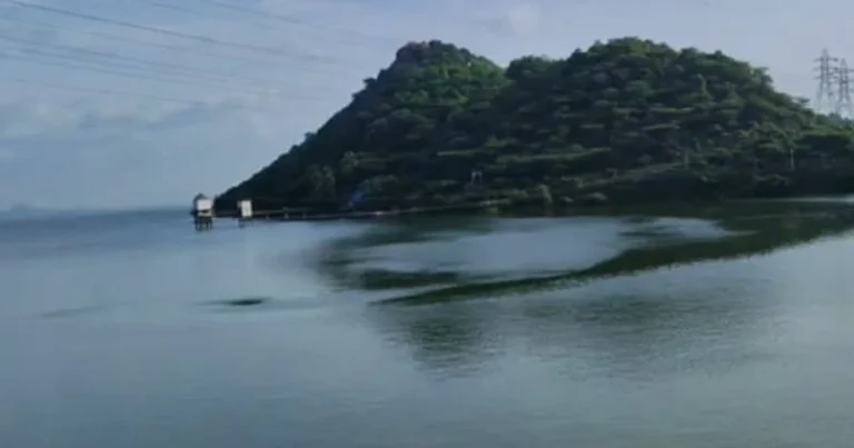 6-வது முறையாக முழு கொள்ளவை எட்டிய மேட்டூர் அணை