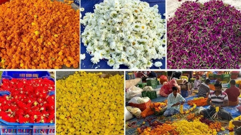 பூக்கள் விவசாயிகளின்  வாழ்வாதாரத்தை காக்குமா தமிழக அரசு?