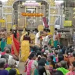 மதுரை : தங்கமயில் வாகனத்தில் எழுந்தருளிய சுப்பிரமணிய சுவாமி!