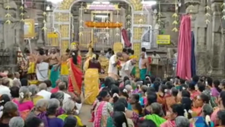மதுரை : தங்கமயில் வாகனத்தில் எழுந்தருளிய சுப்பிரமணிய சுவாமி!