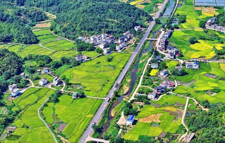 இவ்வாண்டு முதல் மூன்று காலாண்டுகளில் சீன கிராமப்புறங்களில் 75ஆயிரம் கிலோமீட்டர் நெடுஞ்சாலை புதிதாக கட்டியமைப்பு