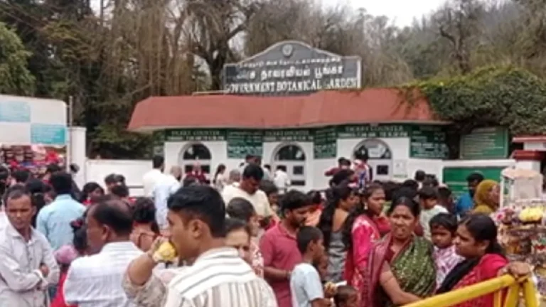உதகை அரசு தாவரவியல் பூங்காவில் அலைமோதிய சுற்றுலா பயணிகள் கூட்டம்!