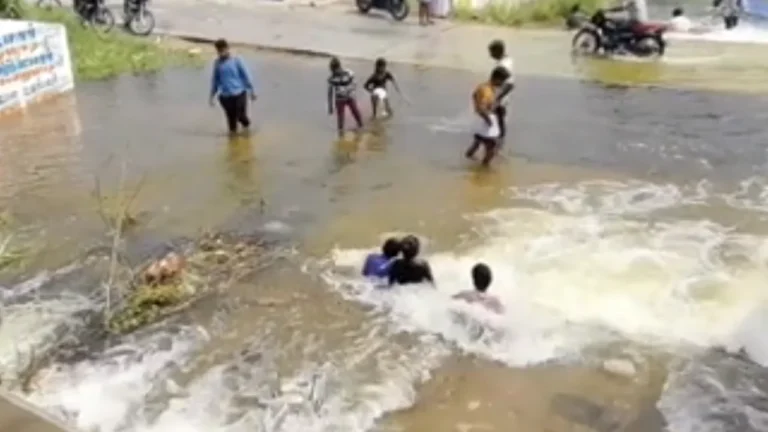 ராணிப்பேட்டையில் பரவலாக மழை!