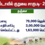 50 % மட்டுமே நடைபெற்ற  குறுவை நெல் சாகுபடி கொள்முதல் – முழு விவரம்!