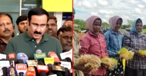 நெல் கொள்முதல் செய்வதில் திமுக அரசு தோல்வி – அன்புமணி குற்றச்சாட்டு!