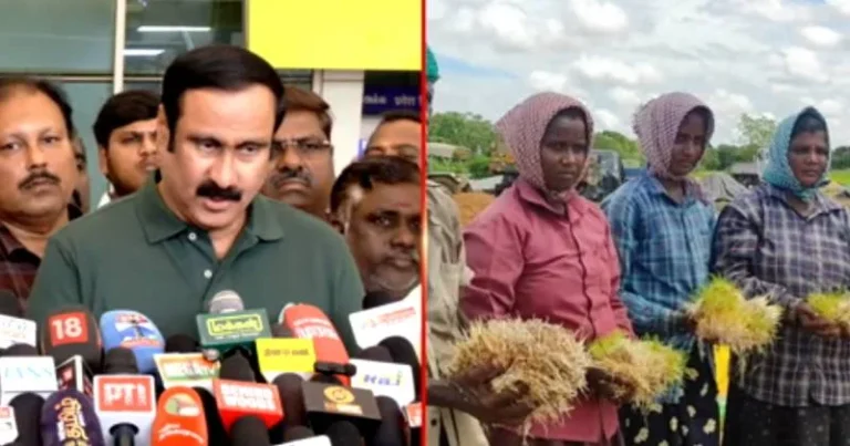 நெல் கொள்முதல் செய்வதில் திமுக அரசு தோல்வி – அன்புமணி குற்றச்சாட்டு!