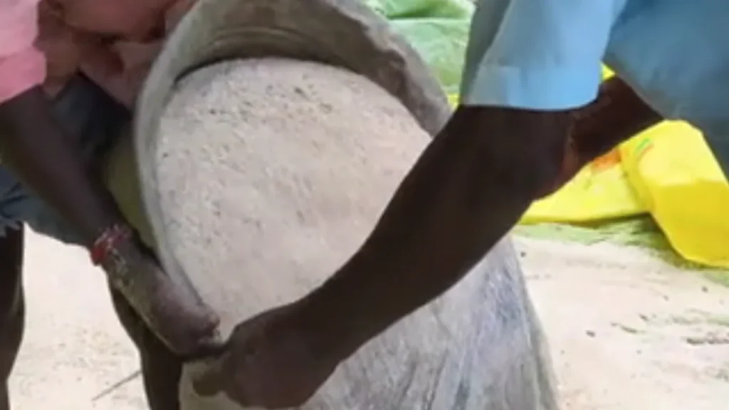 கும்பகோணம் – யூரியா உர தட்டுப்பாடு!