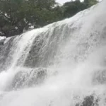 மேகமலை அருவிக்கு செல்ல 13வது நாளாக தடை – வனத்துறை