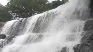 மேகமலை அருவிக்கு செல்ல 13வது நாளாக தடை – வனத்துறை