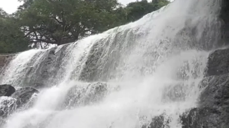 மேகமலை அருவிக்கு செல்ல 13வது நாளாக தடை – வனத்துறை