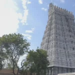 திருச்செந்தூர் முருகன் கோயிலில் அறங்காவலர் குழு உறுப்பினர்களை நியமிக்க உயர்நீதிமன்ற உத்தரவு!
