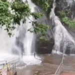 கனமழை – குற்றால அருவிகளில் வெள்ளப்பெருக்கு!
