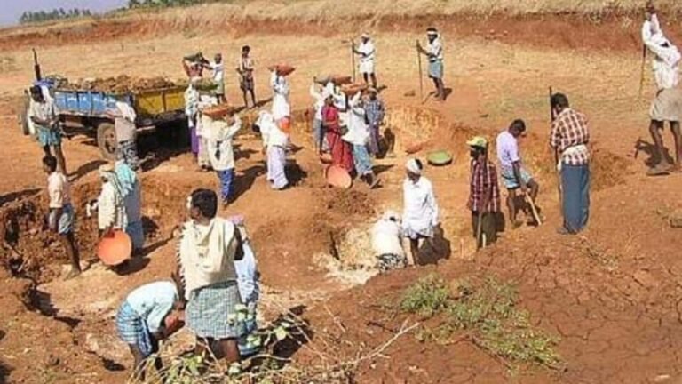 100 நாள் வேலைத் திட்டம்: 99.67% தொழிலாளர்களின் ஆதார் விவரங்கள் உறுதி  