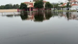 டிட்வா புயல் எதிரொலி : தூத்துக்குடியின் பல்வேறு பகுதிகளில் சூழ்ந்த வெள்ளம்!