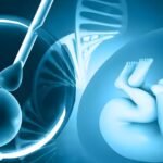 செயற்கை கருத்தரித்தலில் ஏஐ கருவிகள் பயன்பாட்டால் நன்மை என்றாலும் நிபுணர்கள் எச்சரிக்கை  