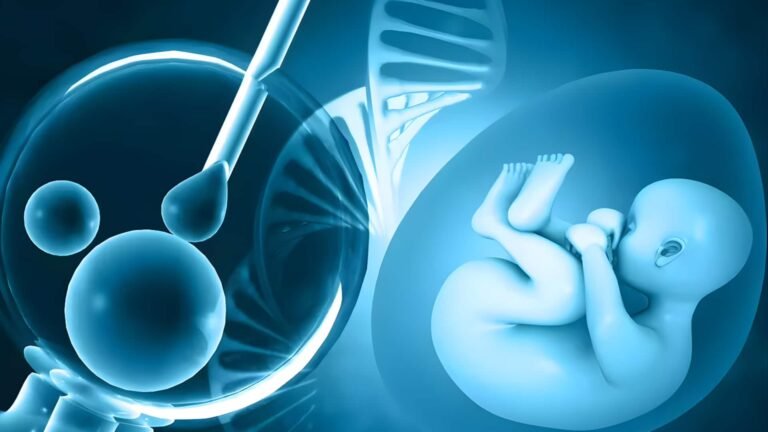 செயற்கை கருத்தரித்தலில் ஏஐ கருவிகள் பயன்பாட்டால் நன்மை என்றாலும் நிபுணர்கள் எச்சரிக்கை  