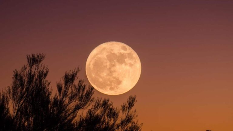 Wolf Supermoon: 2026ஆம் ஆண்டின் முதல் பௌர்ணமியை எப்போது, எப்படிப் பார்ப்பது  