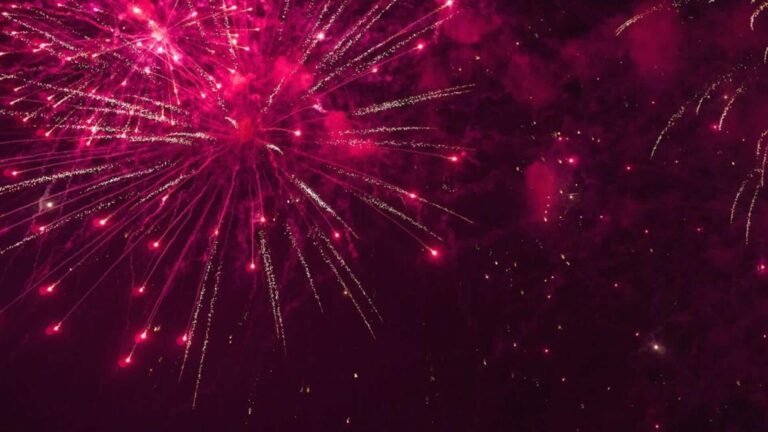 சென்னையில் புத்தாண்டு கொண்டாட்டம்: நட்சத்திர விடுதிகளுக்கு செக்!  