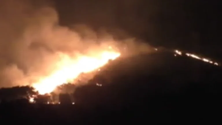 சிறுமலை வனப்பகுதியில் பற்றி எரியும் காட்டுத்தீ!