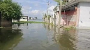 முழு கொள்ளளவை எட்டிய செம்பரம்பாக்கம் ஏரி : குடியிருப்புகளை சூழ்ந்த தண்ணீர்!