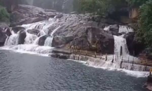 மணிமுத்தாறு அருவியில் குளிக்க தடை..!!