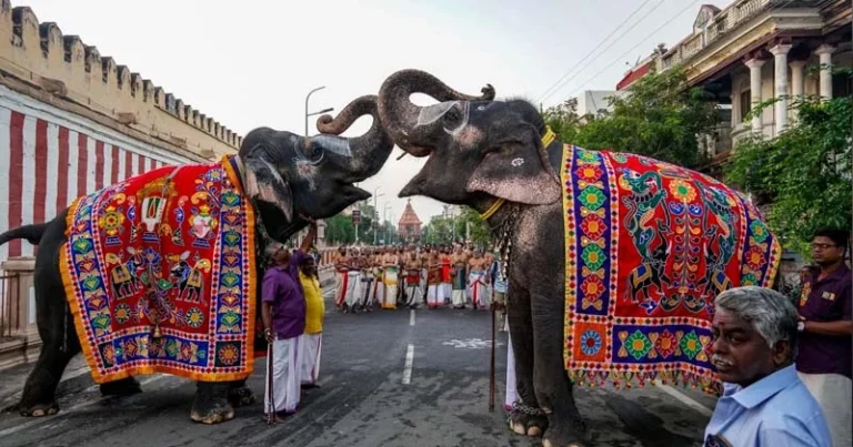 ஸ்ரீரங்கம் ரங்கநாதர் கோயிலில் தை தேரோட்டம் கோலாகலம்!