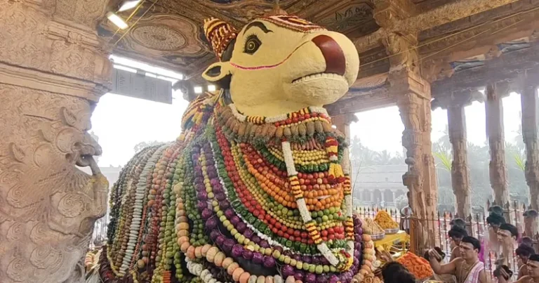 தஞ்சை பெரிய கோயிலில் மாட்டு பொங்கலையொட்டி நந்தியம் பெருமானுக்கு சிறப்பு அபிஷேகம்!