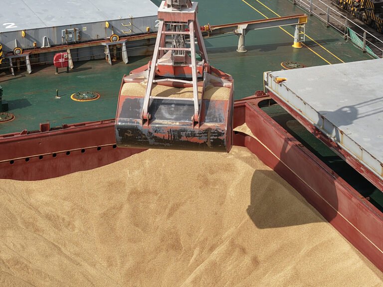 கிராமப்புற மறுமலர்ச்சியைப் பன்முகங்களிலும் முன்னேற்றுவிக்கும் சீனா