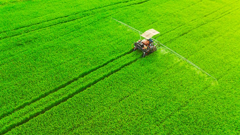 தாவரங்களின் பாதுகாப்பு நுட்ப புத்தாக்கம் பற்றி பன்னாட்டு நிபுணர்கள் பரிமாற்றம்