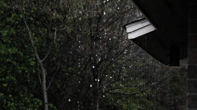 தமிழகத்தில் மீண்டும் கனமழை; வானிலை ஆய்வு மையம் எச்சரிக்கை  