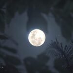 பிப்ரவரி 1இல் தோன்றும் ஸ்னோ மூன்: சூப்பர் மூனை விட கூடுதல் வெளிச்சம்  