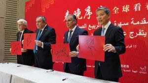 எகிப்தில் வசந்த விழா கொண்டாட்ட கலை நிகழ்ச்சிக்கான சிறப்பு நடவடிக்கை