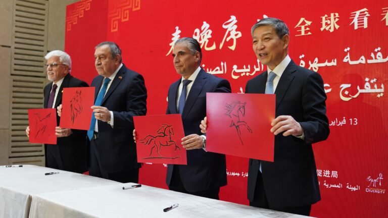 எகிப்தில் வசந்த விழா கொண்டாட்ட கலை நிகழ்ச்சிக்கான சிறப்பு நடவடிக்கை