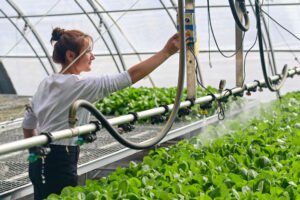 சீனாவின் வறுமை ஒழிப்பு பற்றிய கருத்து கணிப்பு