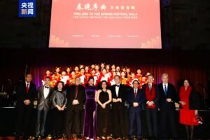 வசந்த விழா கொண்டாட்ட கலை நிகழ்ச்சிக்கான ஐ.நாவின் சிறப்பு நடவடிக்கை