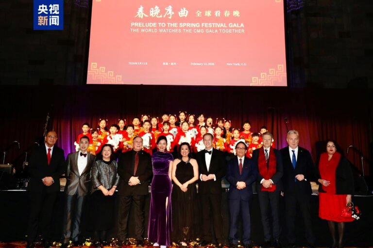 வசந்த விழா கொண்டாட்ட கலை நிகழ்ச்சிக்கான ஐ.நாவின் சிறப்பு நடவடிக்கை