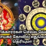 எந்த ராசியினர் எந்த கணபதியை வணங்கினால் சிறந்தது தெரியுமா?